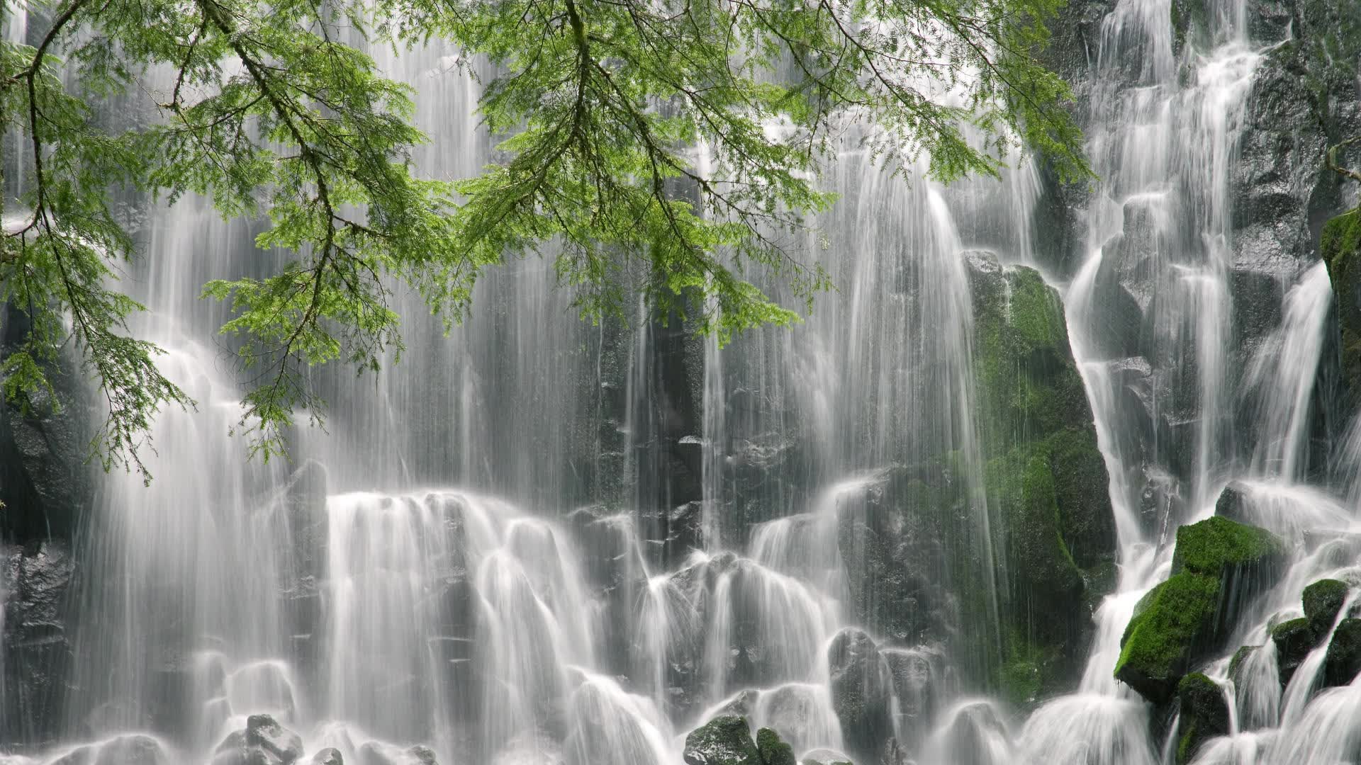 世界举重康复名师短片教学系列上线平台，世界举重冠军排名